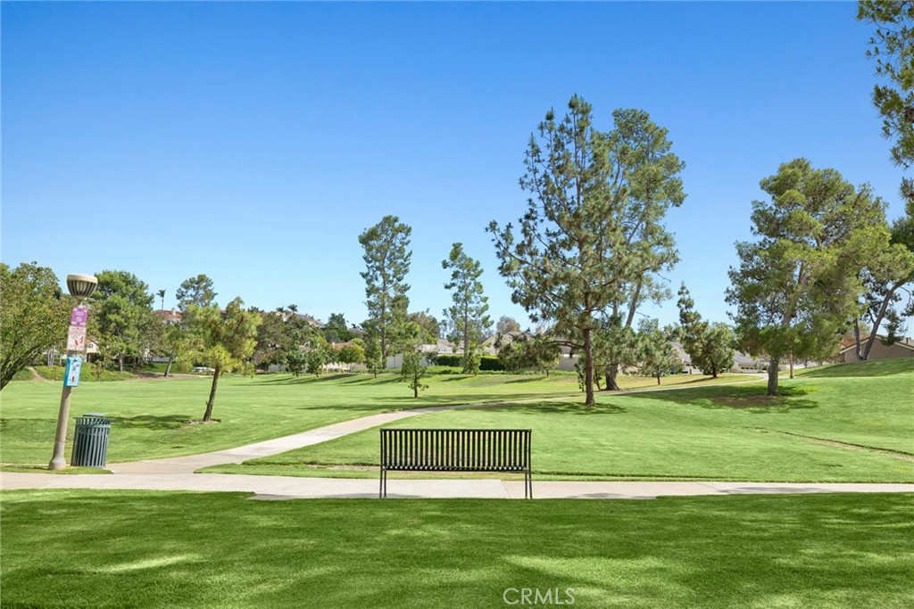 28062 Pinnacles Court