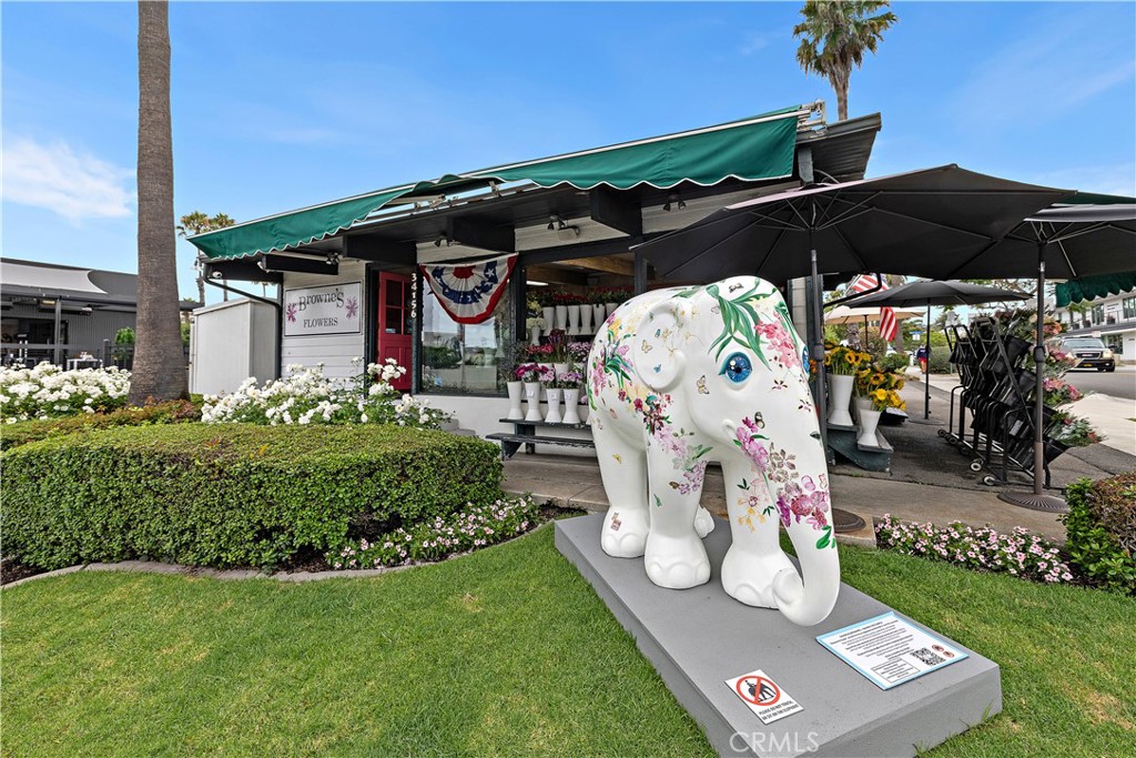 34279 Amber Lantern Street 11