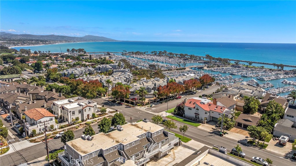 34279 Amber Lantern Street 11