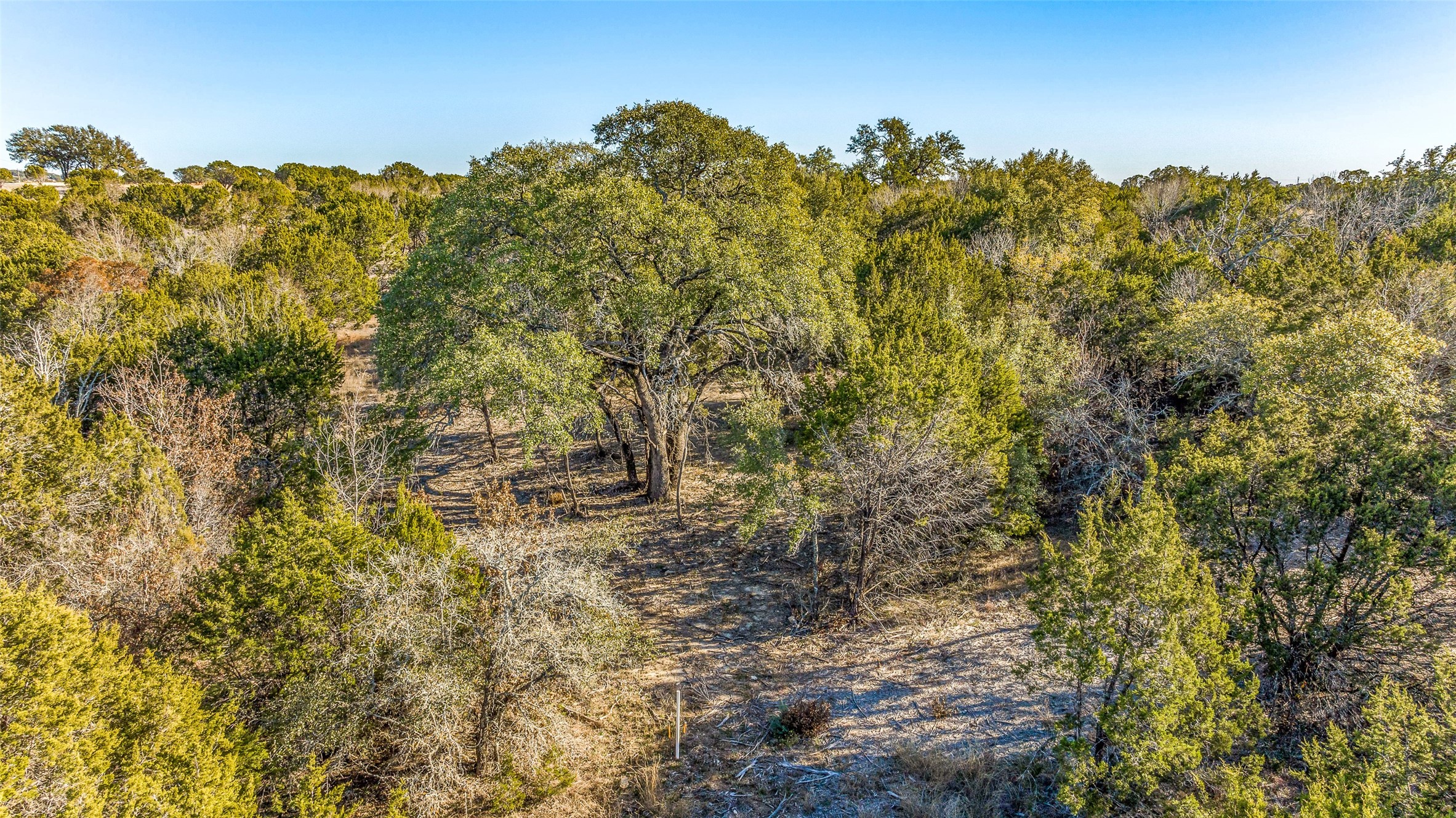 1012 Cedar Hill Drive