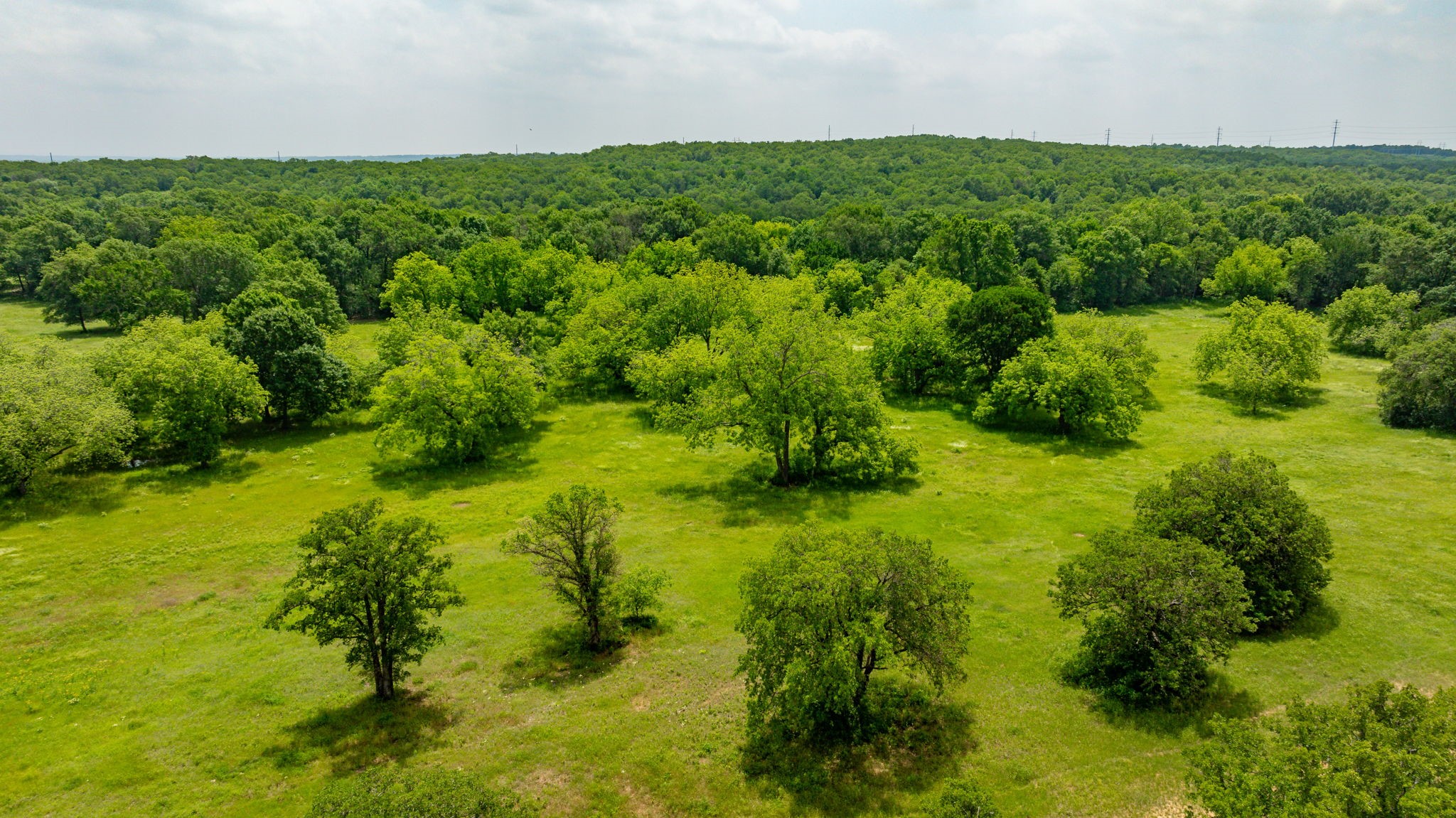 937 Sandy Creek Road