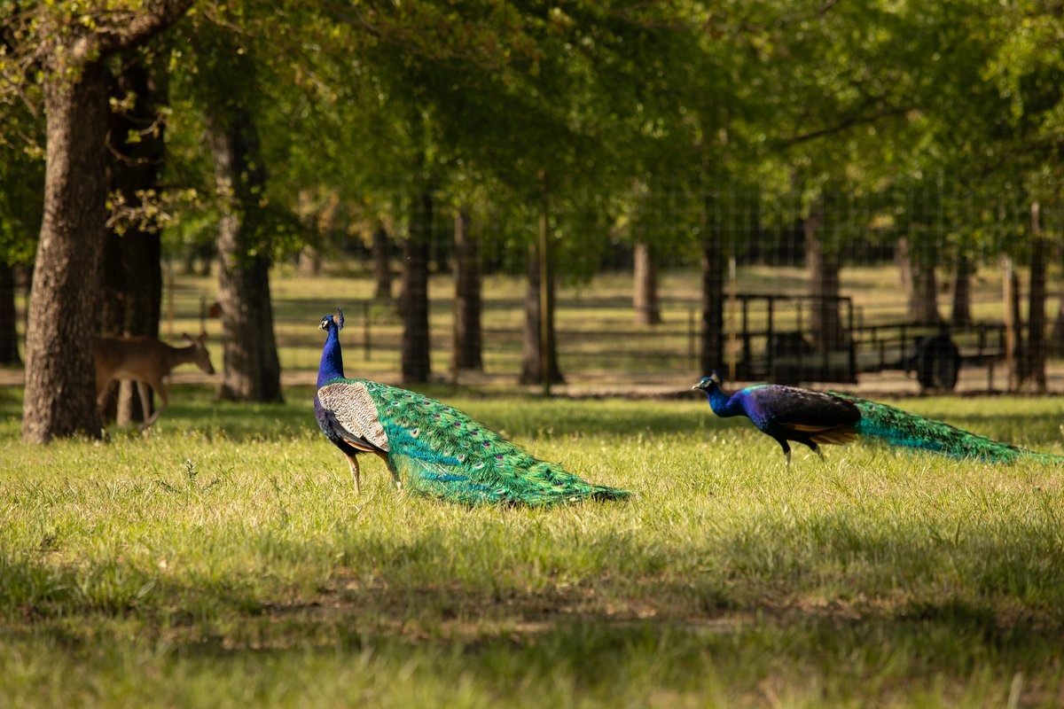 700 Temple Hall Highway