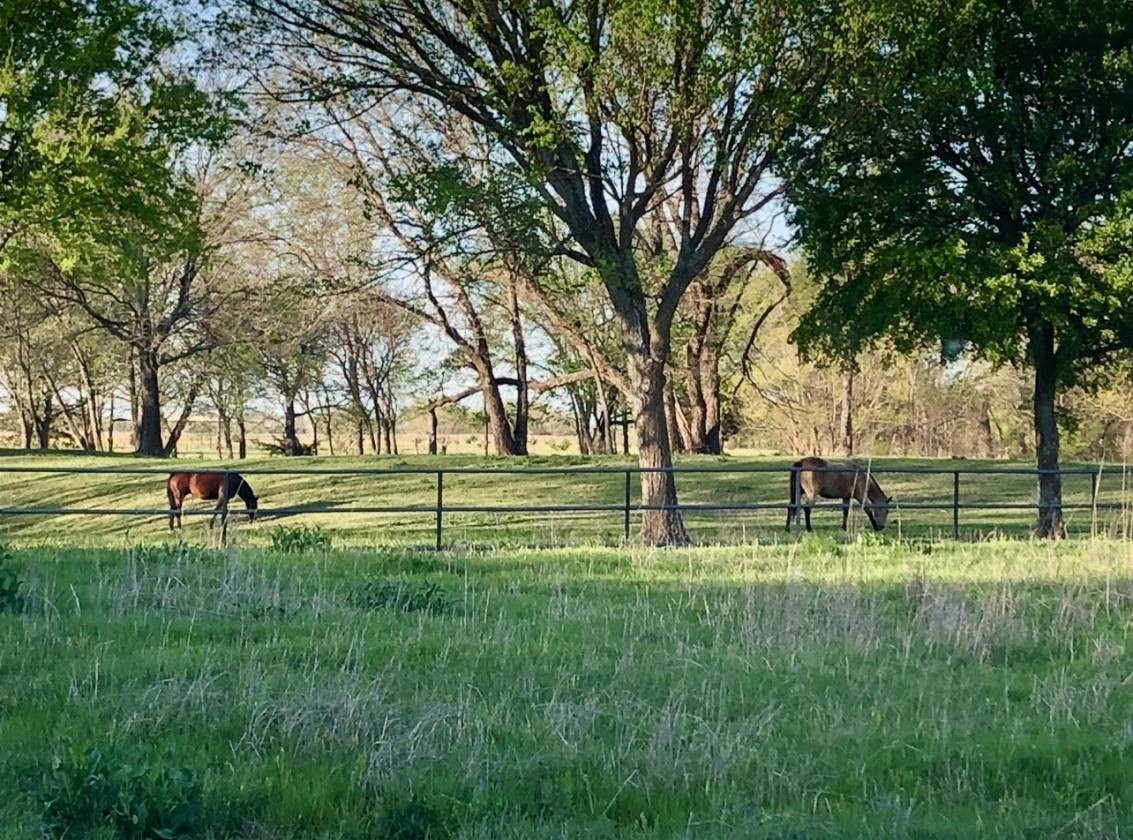 783 County Rd 4420