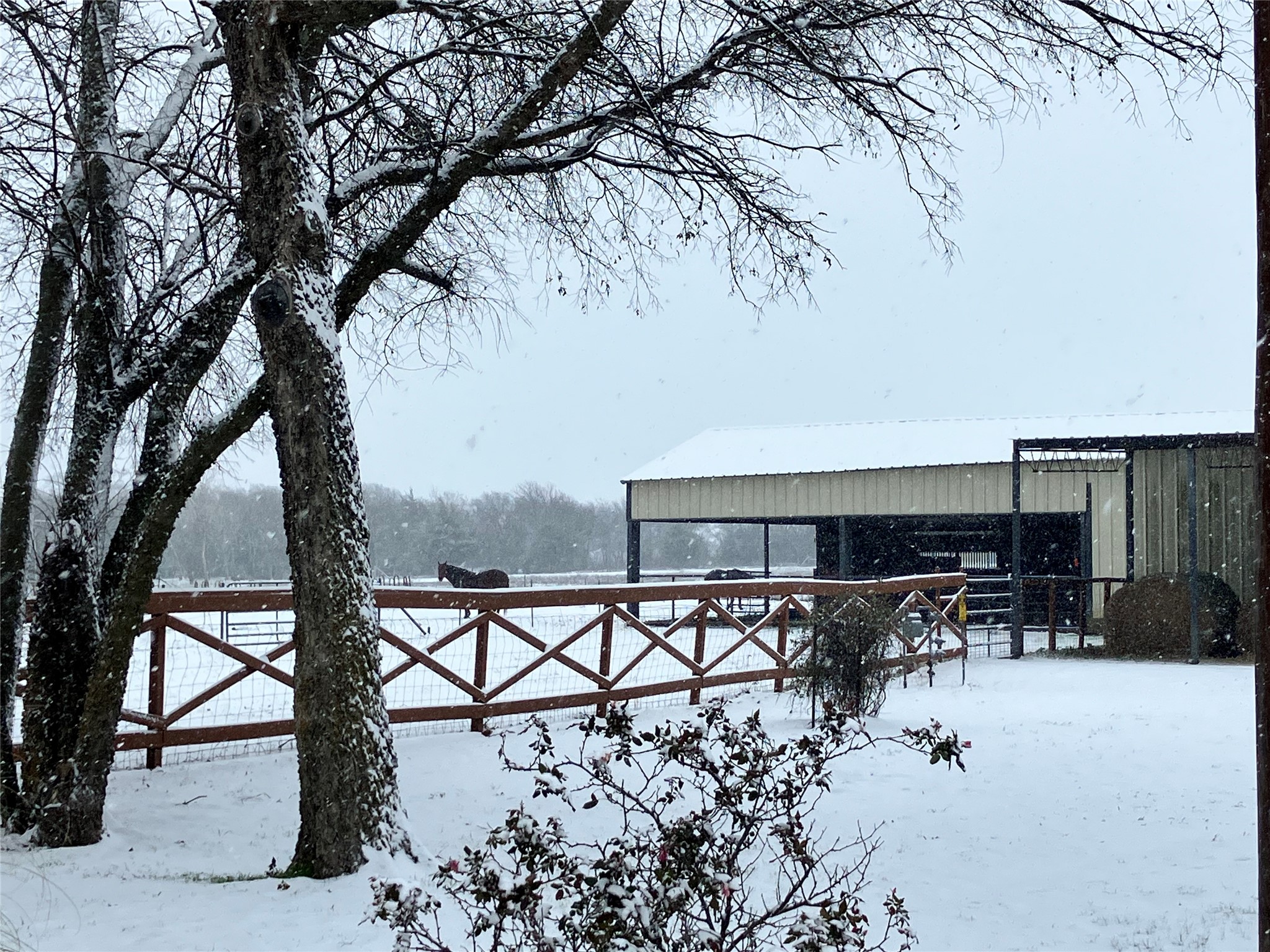 783 County Rd 4420