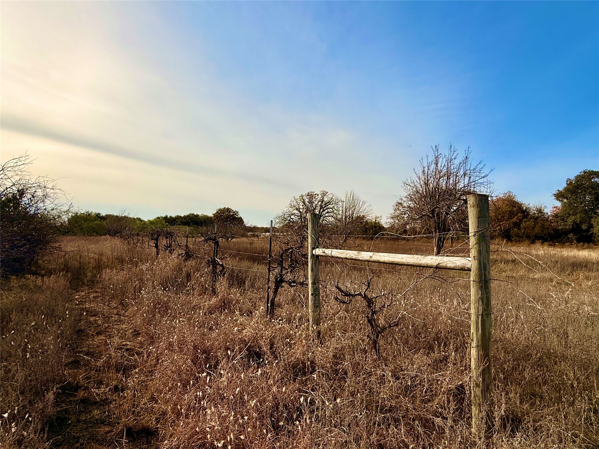 2315 County Road 3208