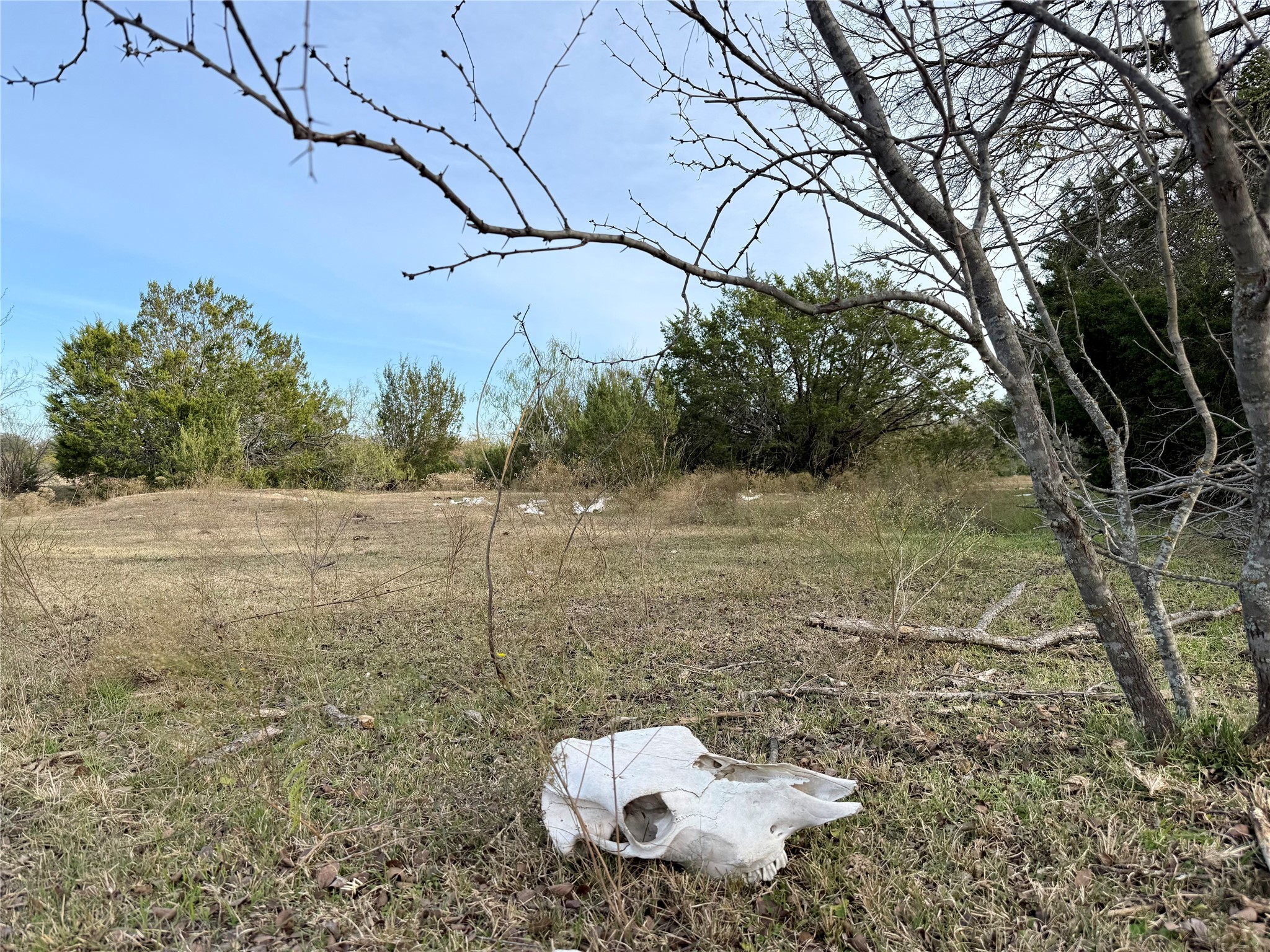 2315 County Road 3208