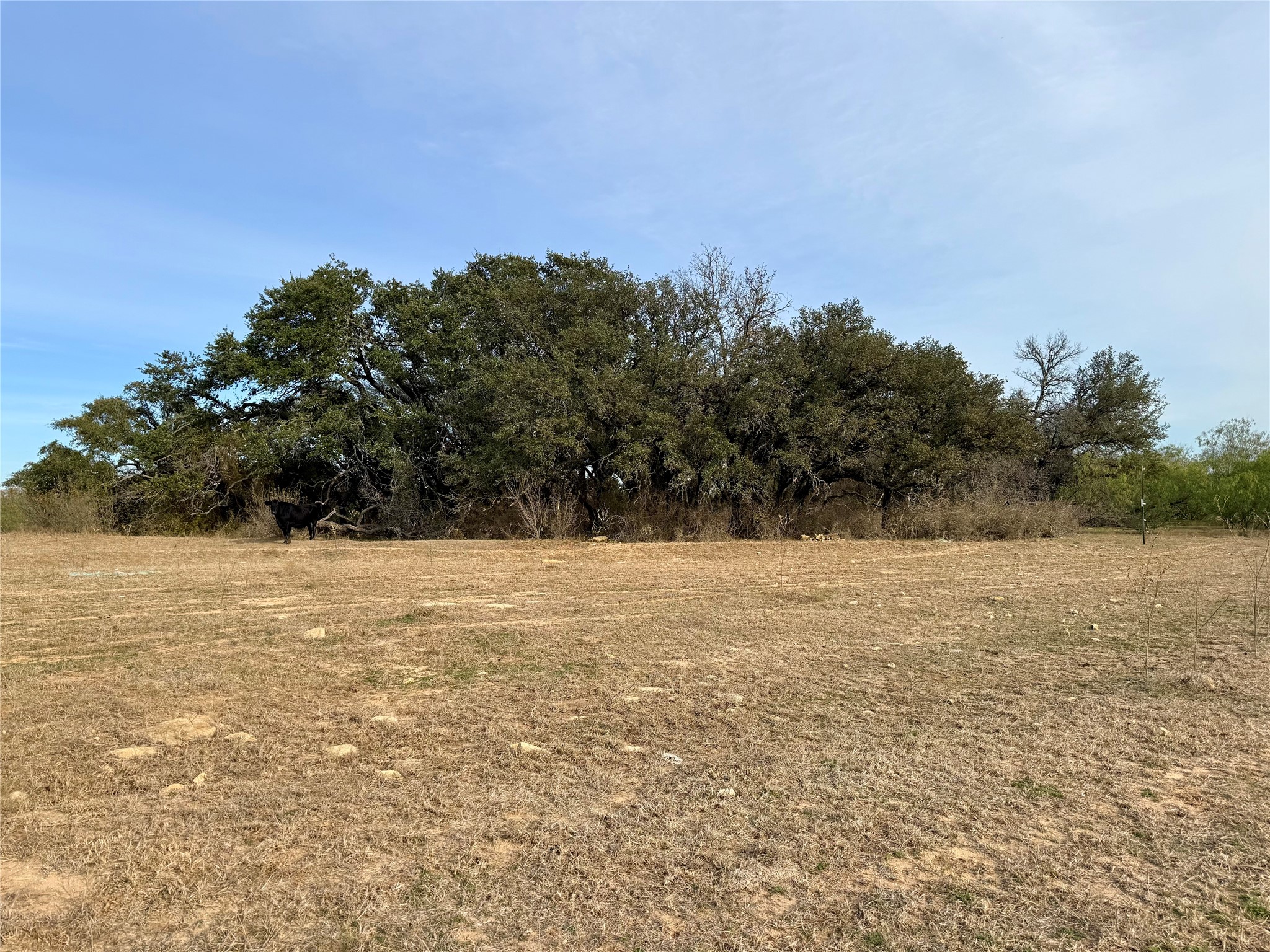 2315 County Road 3208