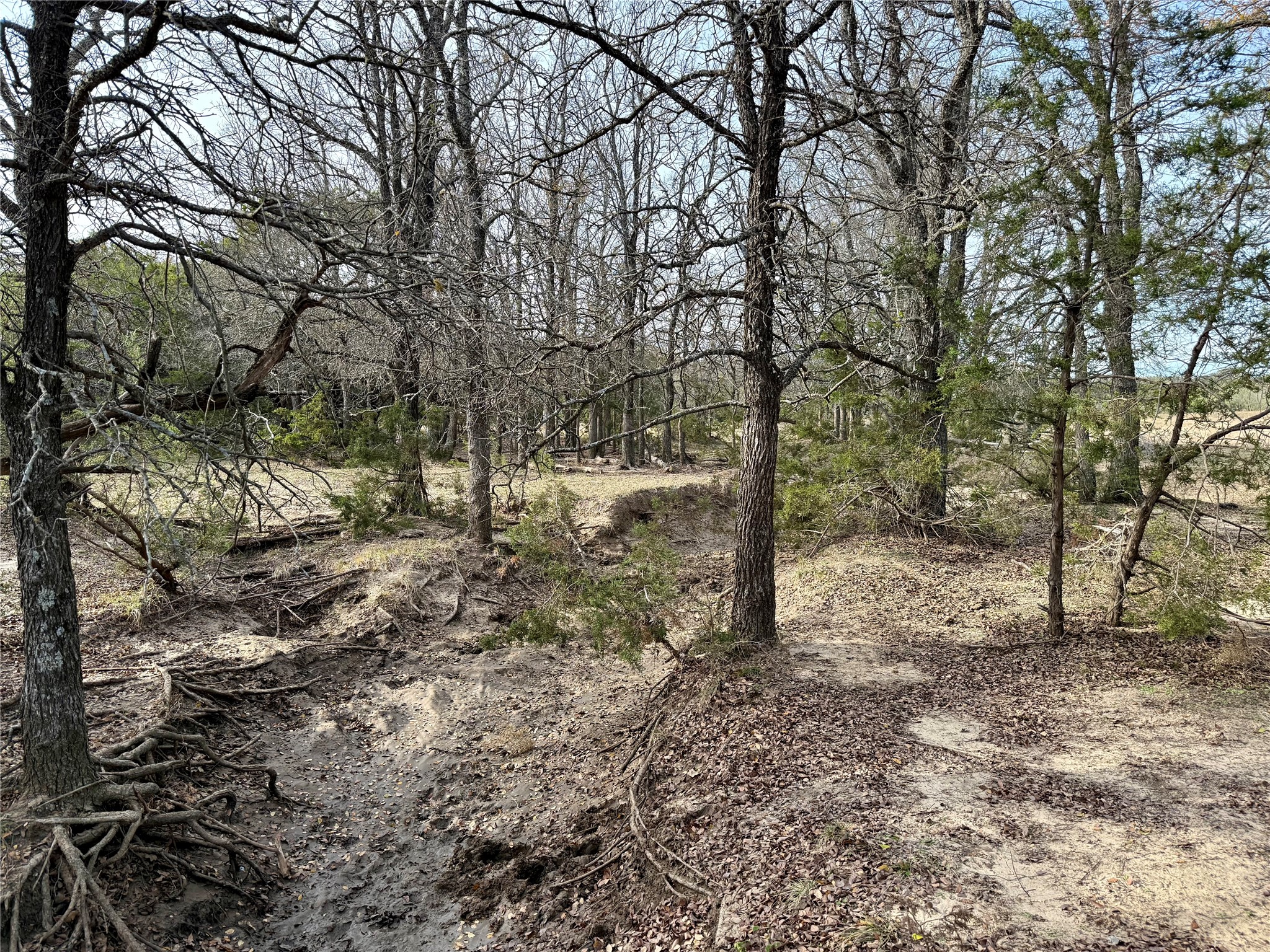 2315 County Road 3208