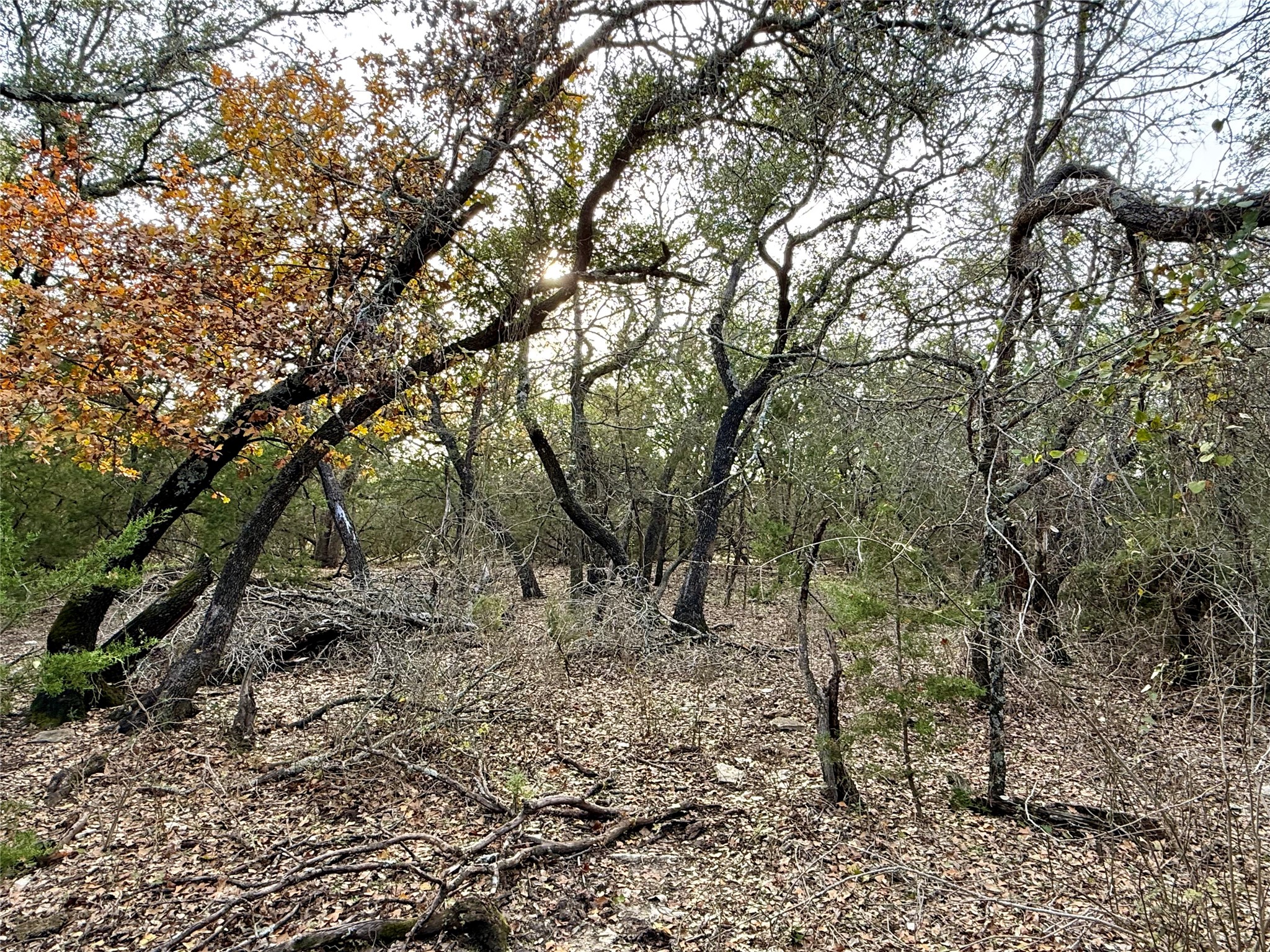 2315 County Road 3208