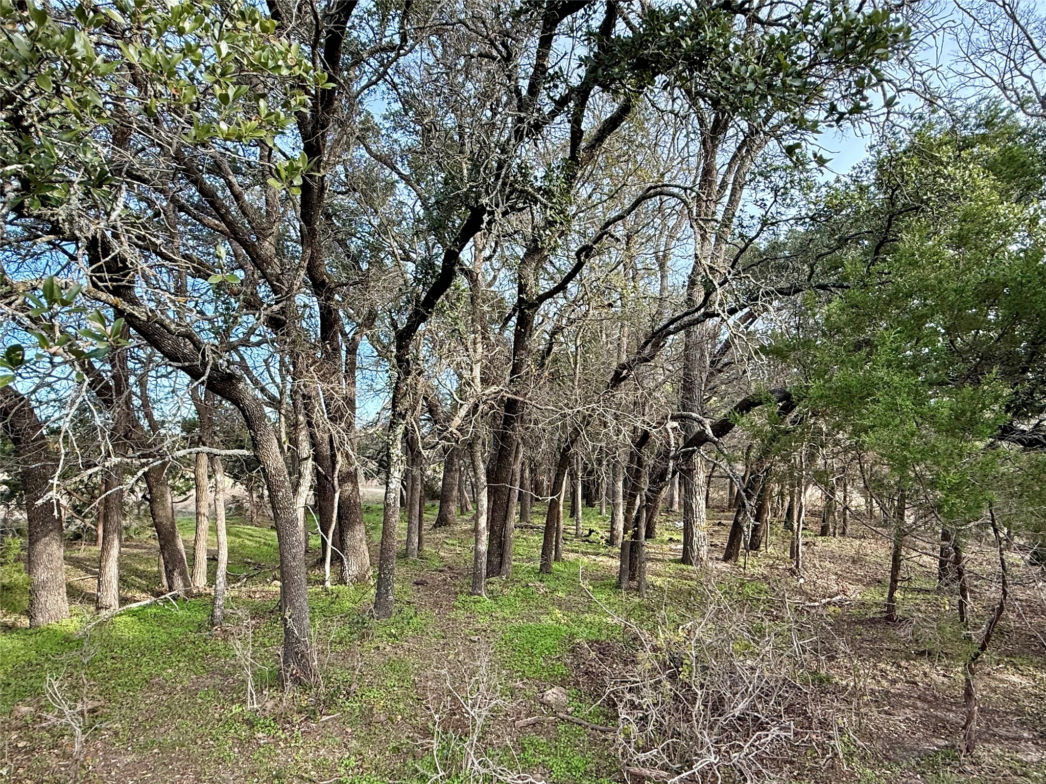 2315 County Road 3208