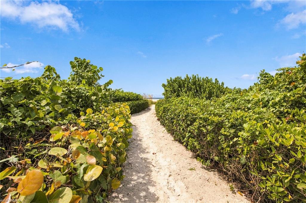 Sandy beach access path bordered by tropical greenery, with water visible at the end.