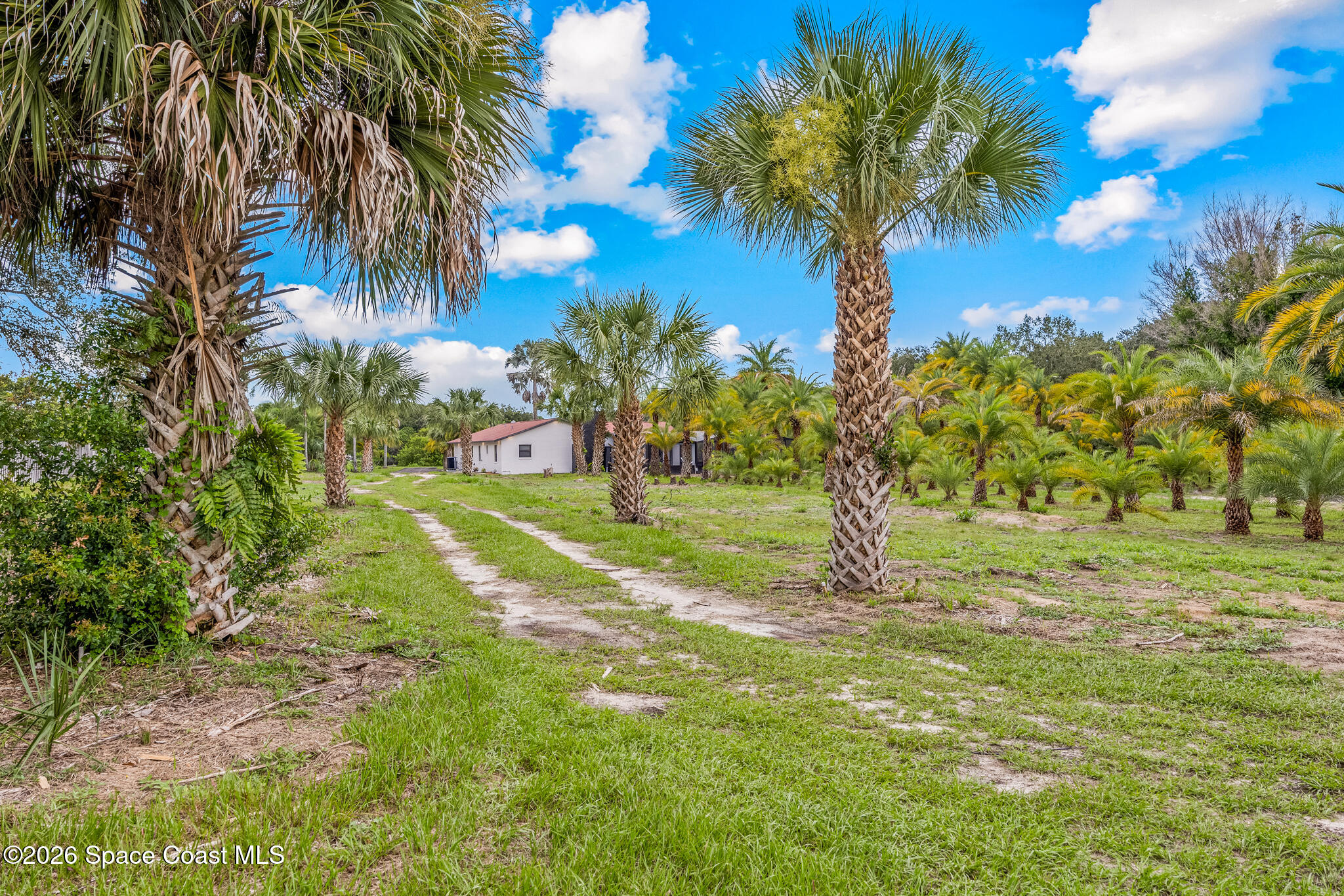 305 W Crisafulli Road