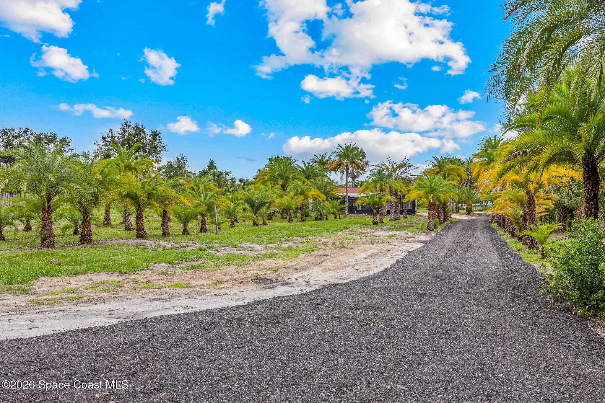 305 W Crisafulli Road