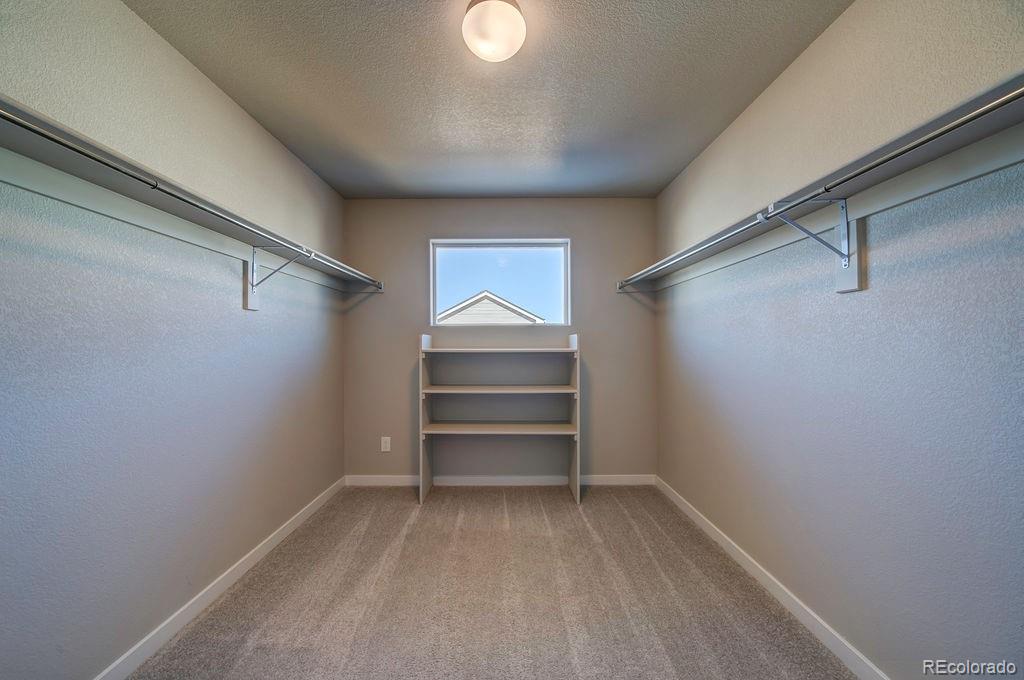 10656 Castor Drive