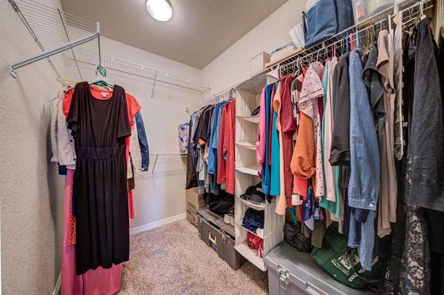 8013 pinfeather Drive