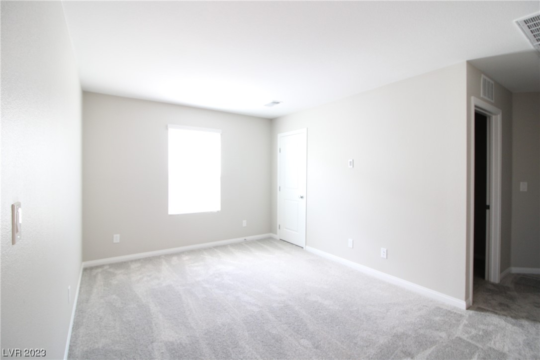 10404 Candelabra Cactus Street