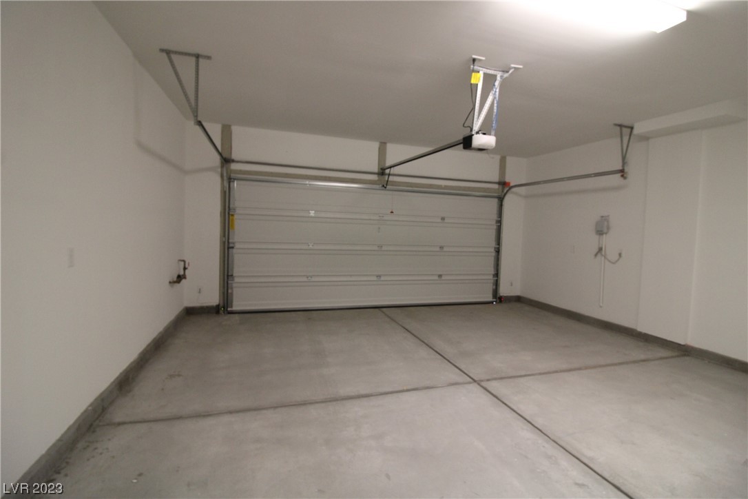 10404 Candelabra Cactus Street