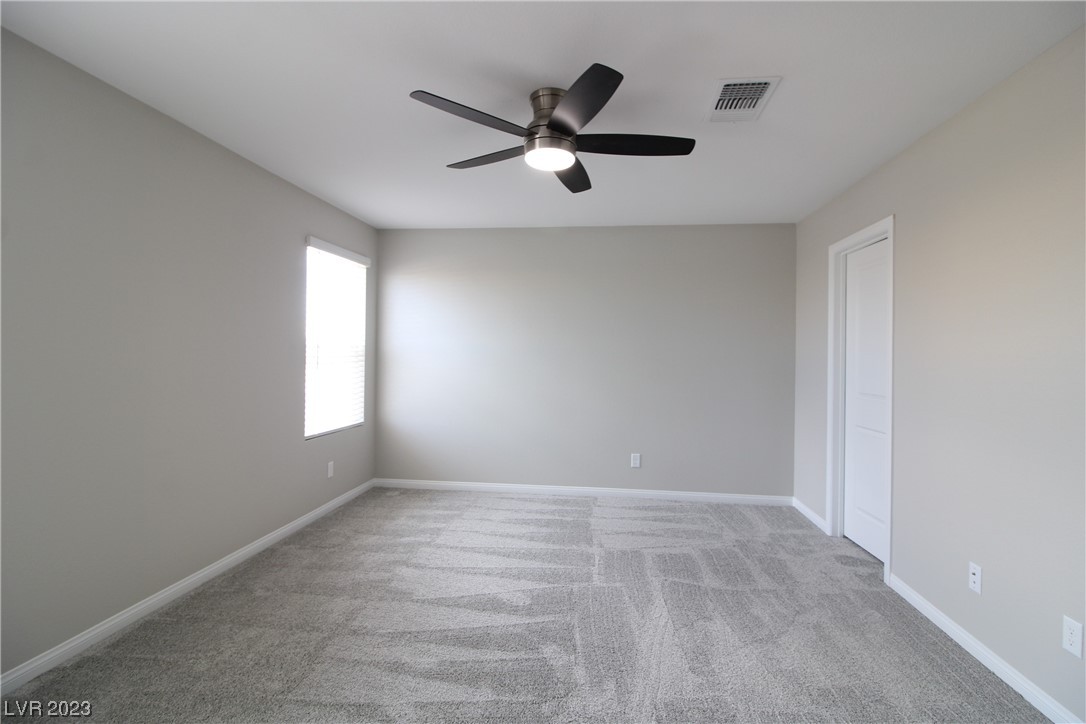 10404 Candelabra Cactus Street