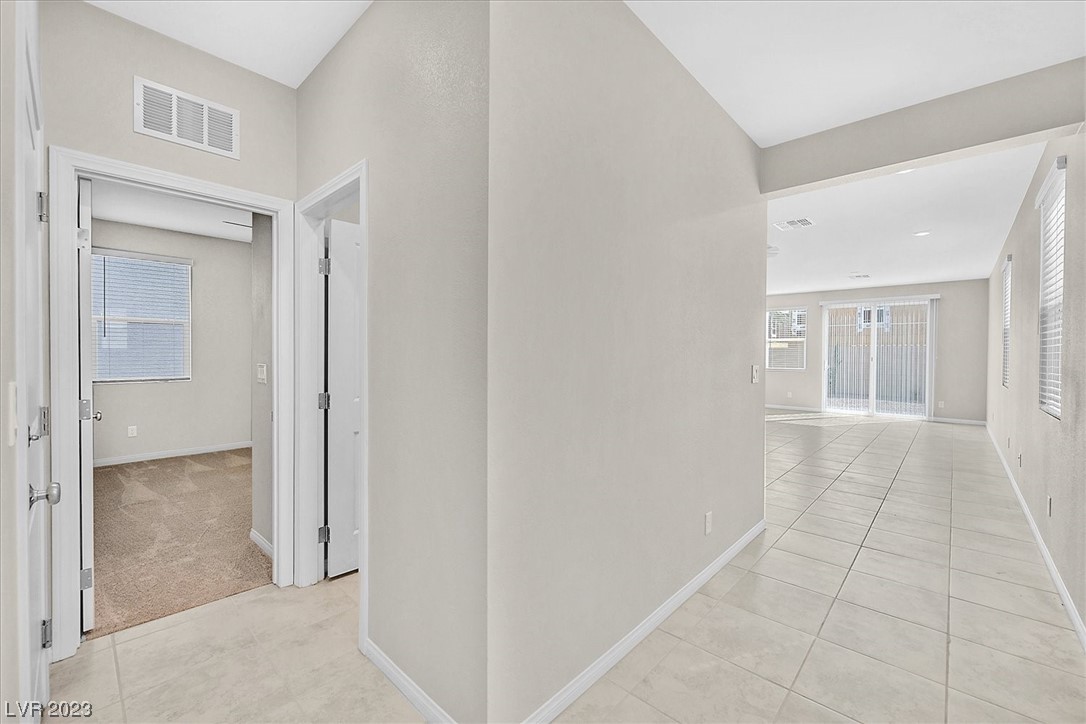 10404 Candelabra Cactus Street