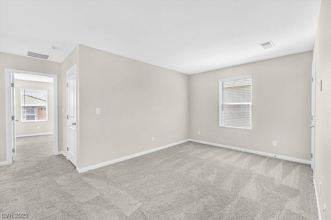 10404 Candelabra Cactus Street