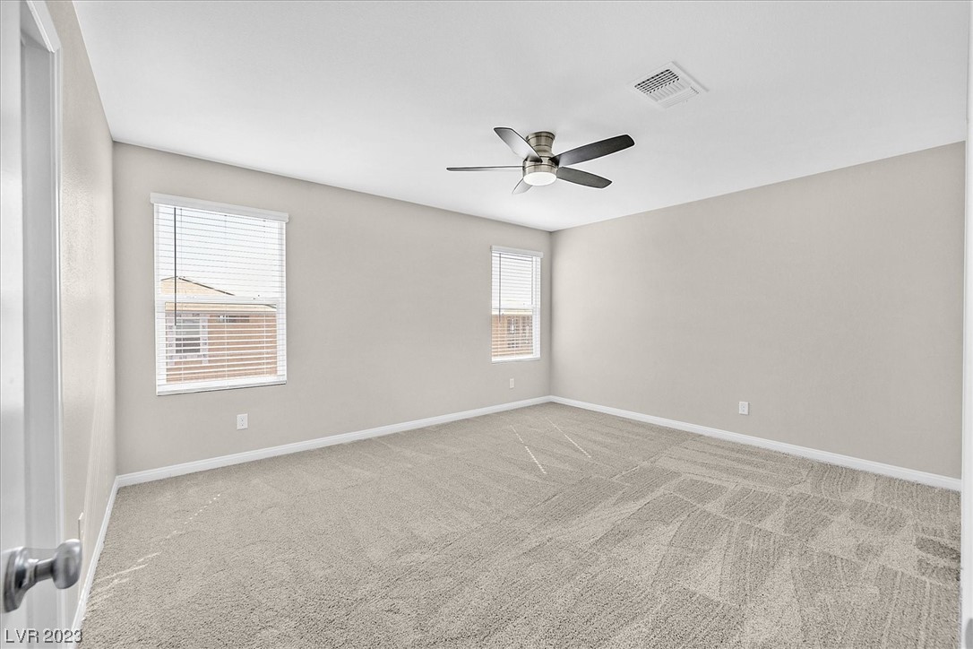 10404 Candelabra Cactus Street