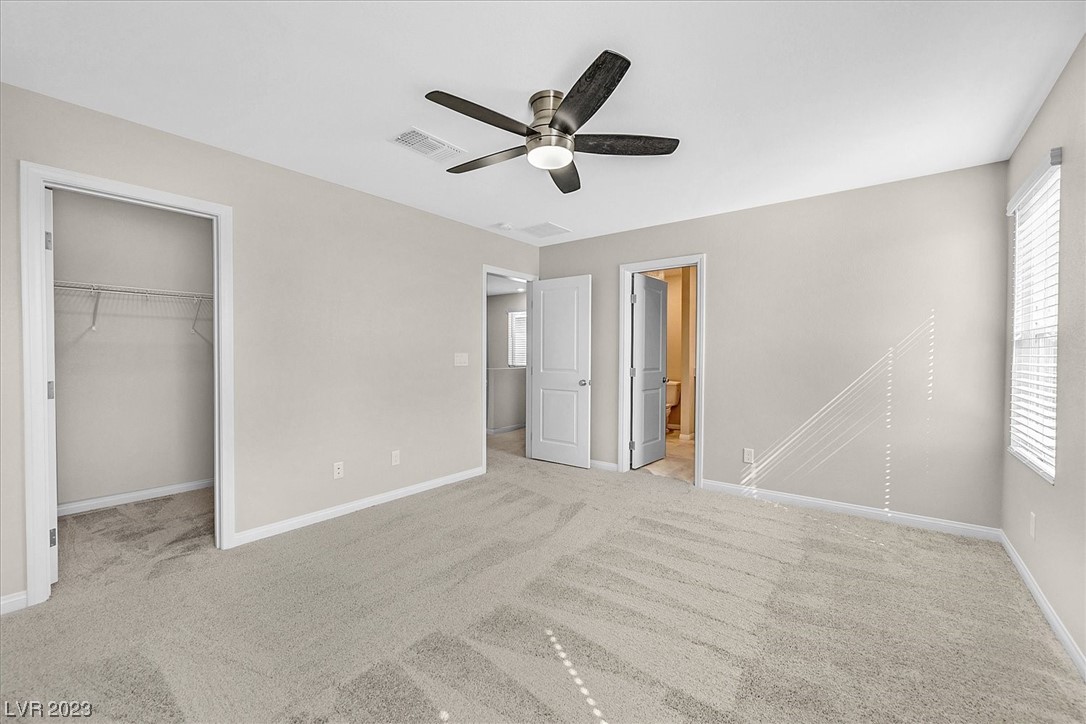 10404 Candelabra Cactus Street