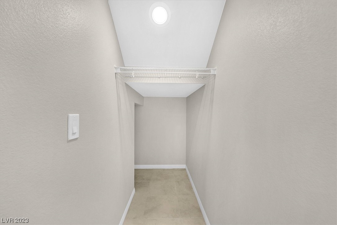 10404 Candelabra Cactus Street