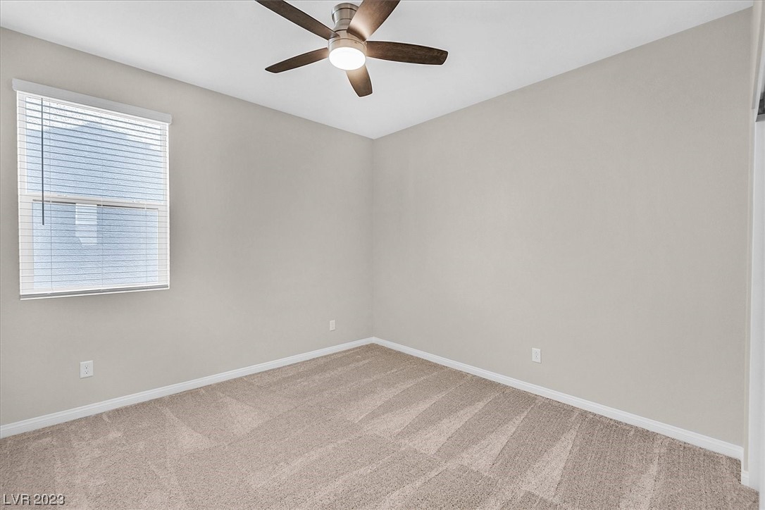 10404 Candelabra Cactus Street