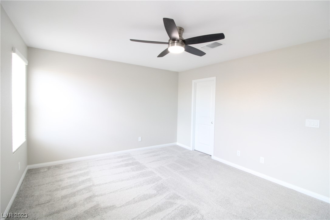 10404 Candelabra Cactus Street