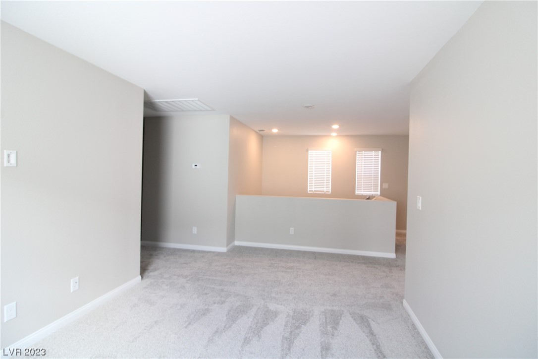 10404 Candelabra Cactus Street