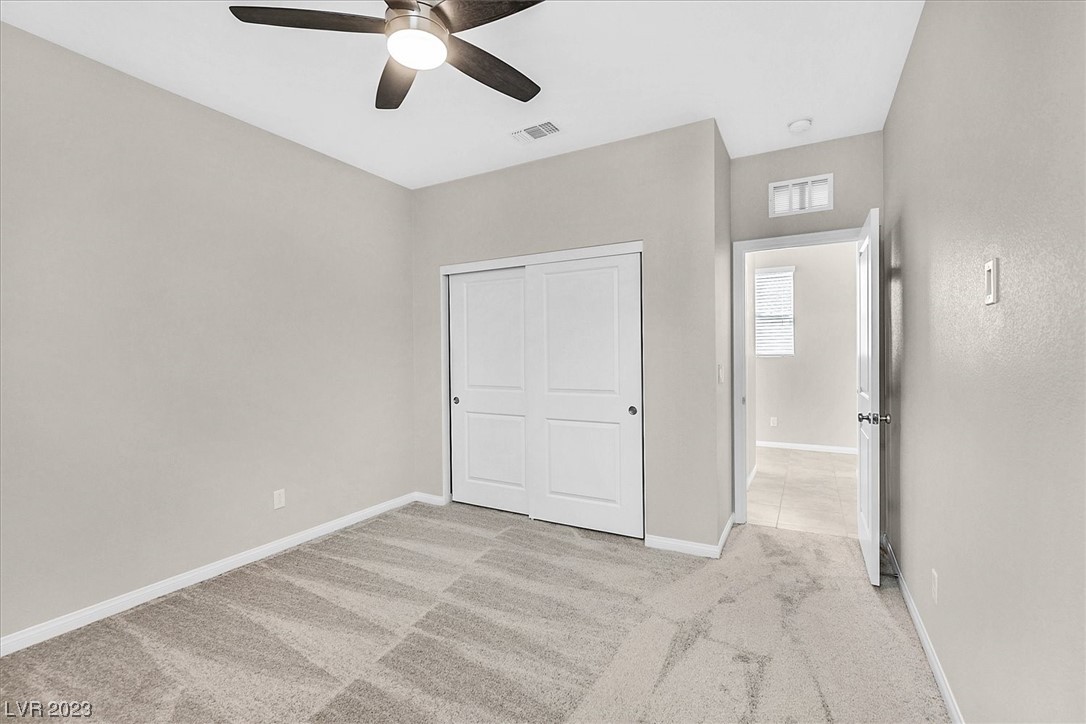 10404 Candelabra Cactus Street