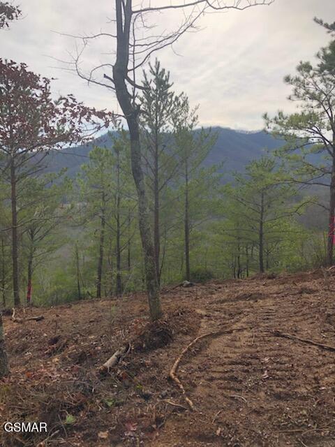 Lot Tr1-B Sulpher Springs Way Way