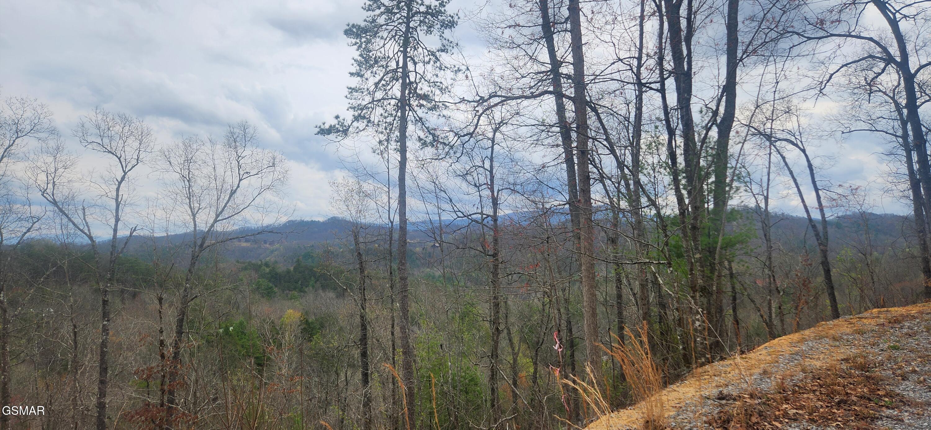 Lot Tr1-B Sulpher Springs Way Way
