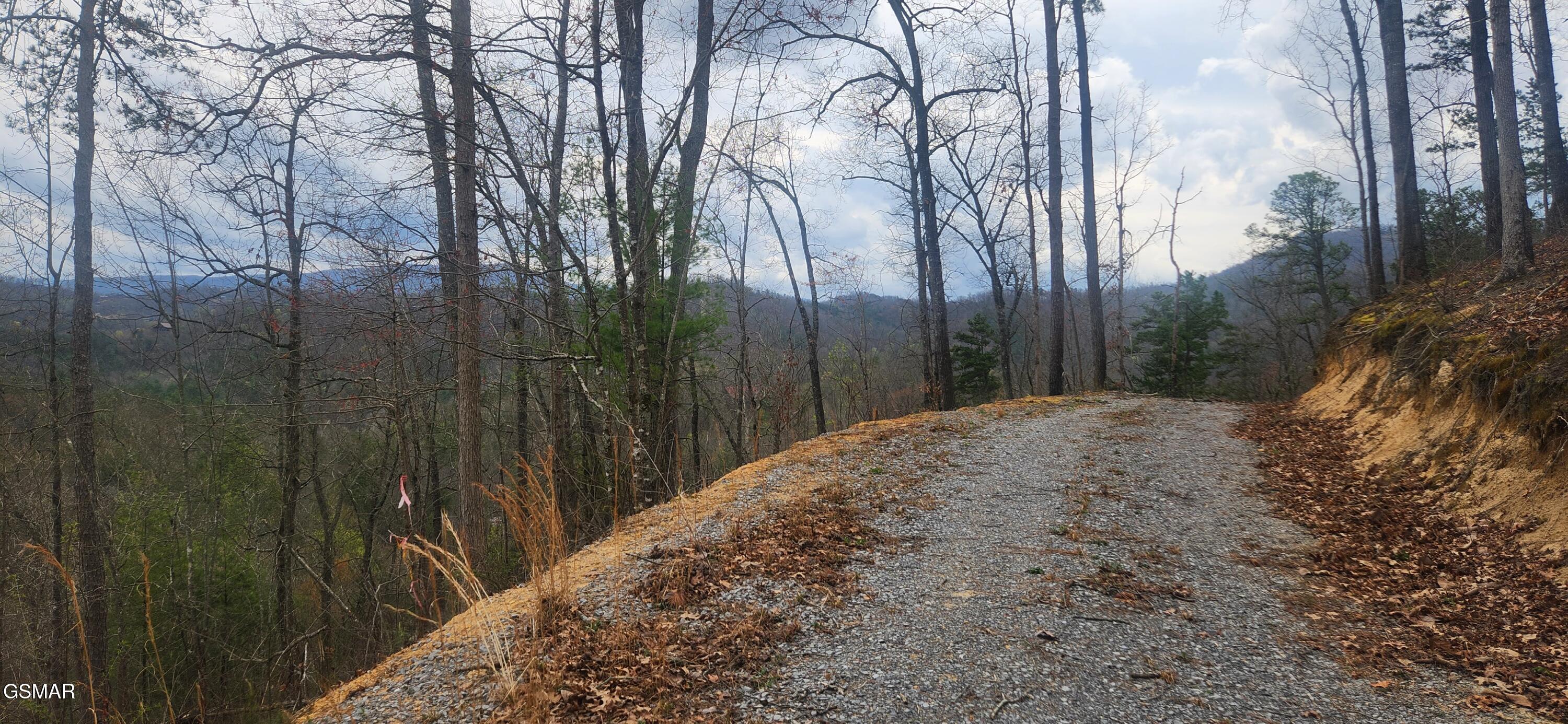 Lot Tr1-B Sulpher Springs Way Way