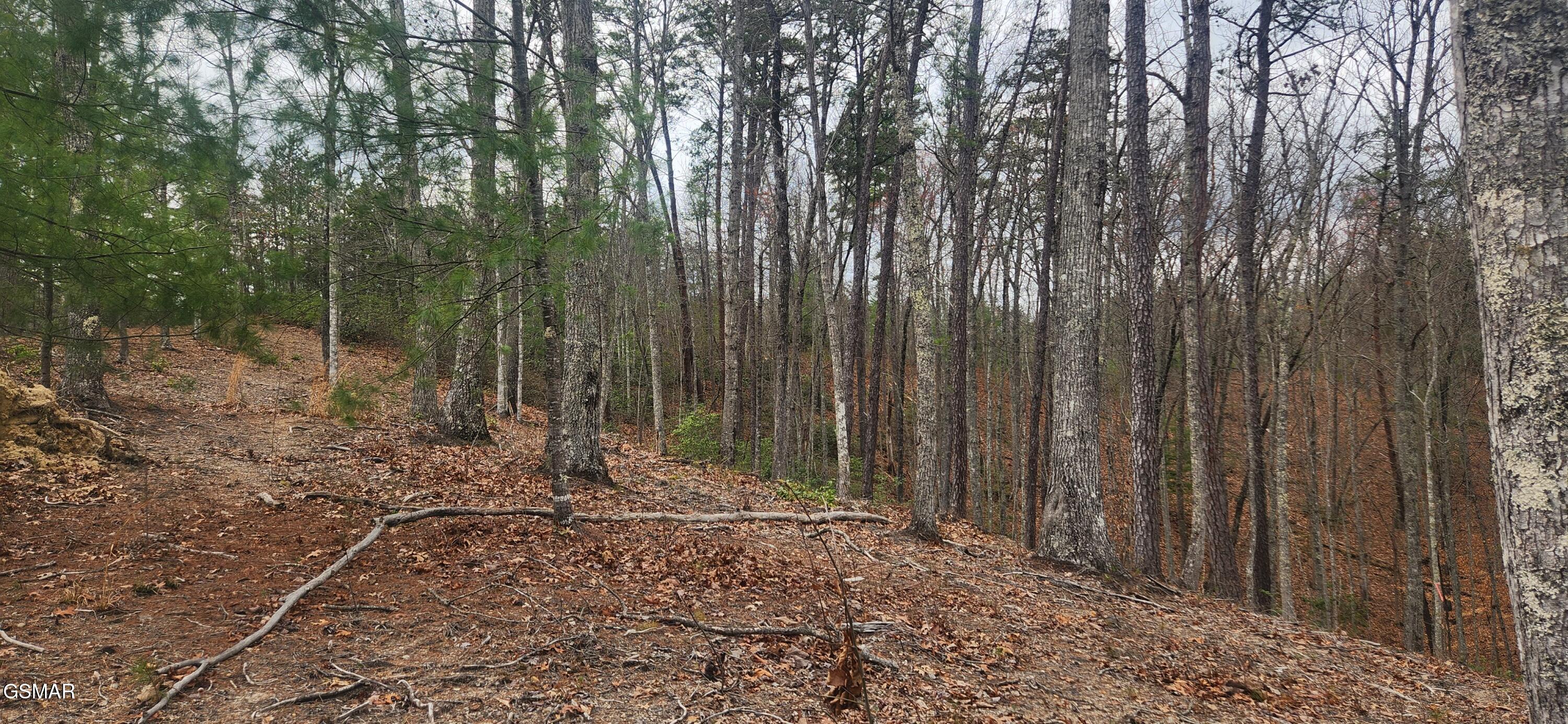 Lot Tr1-B Sulpher Springs Way Way