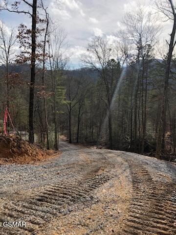 Lot Tr1-B Sulpher Springs Way Way