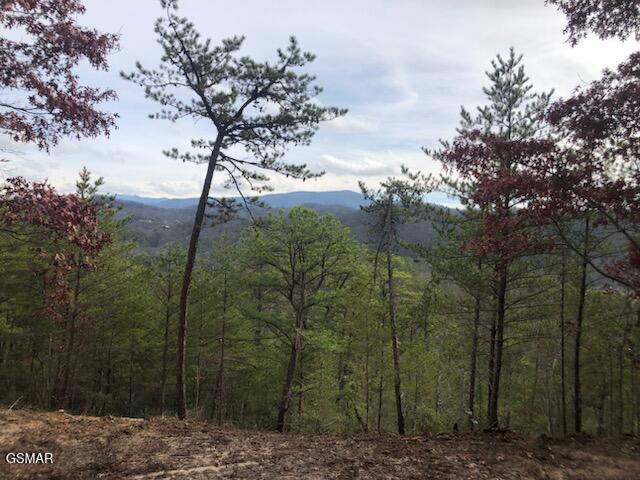 Lot Tr1-B Sulpher Springs Way Way