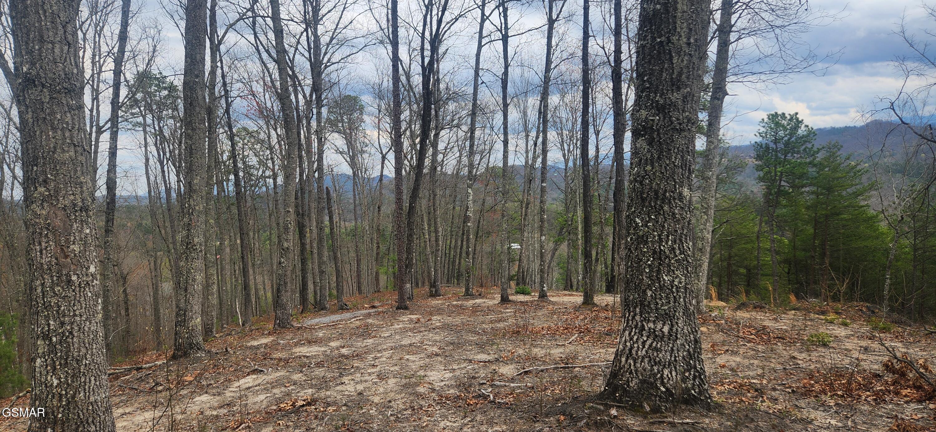 Lot Tr1-B Sulpher Springs Way Way