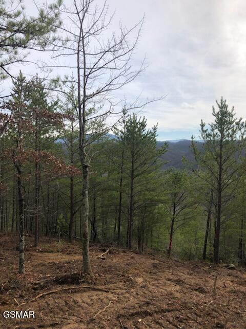 Lot Tr1-B Sulpher Springs Way Way
