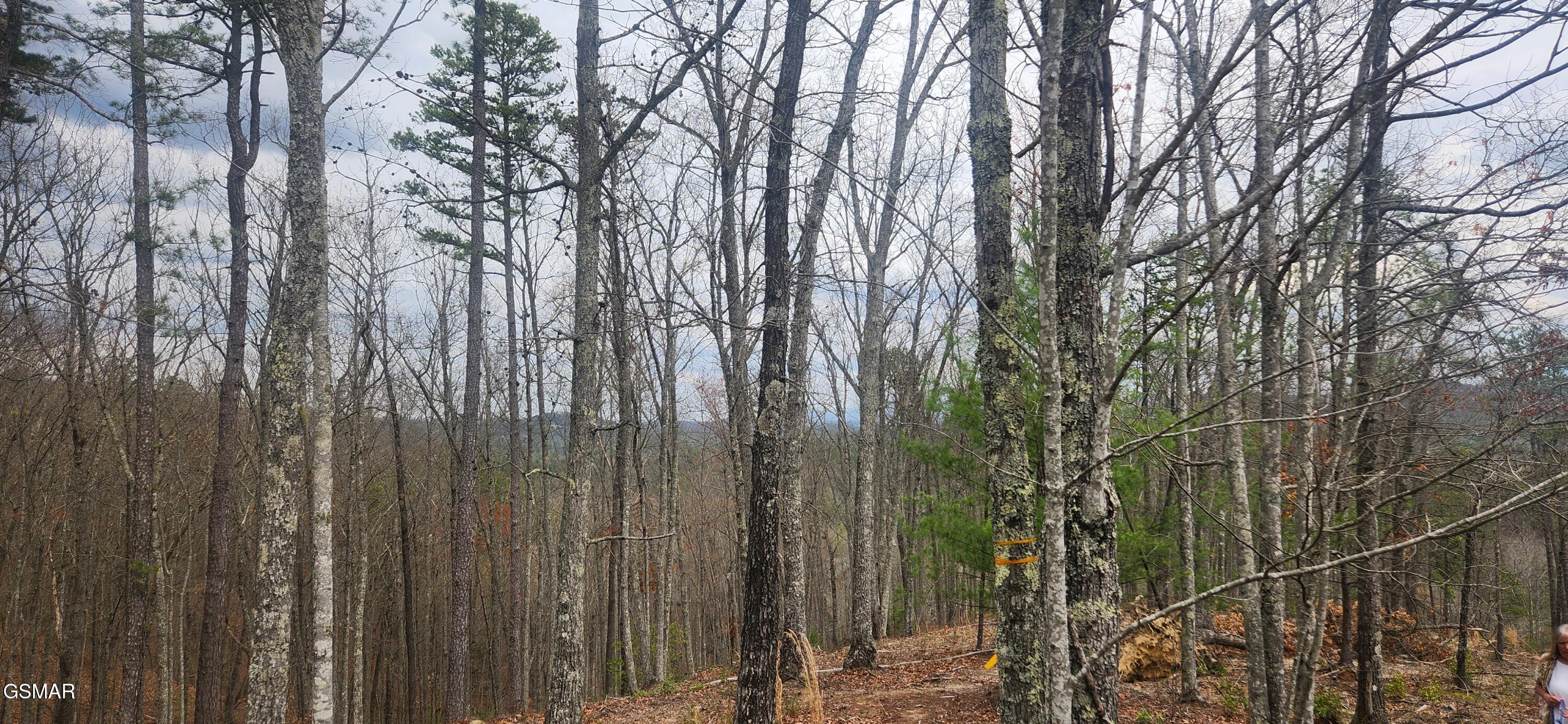 Lot Tr1-B Sulpher Springs Way Way