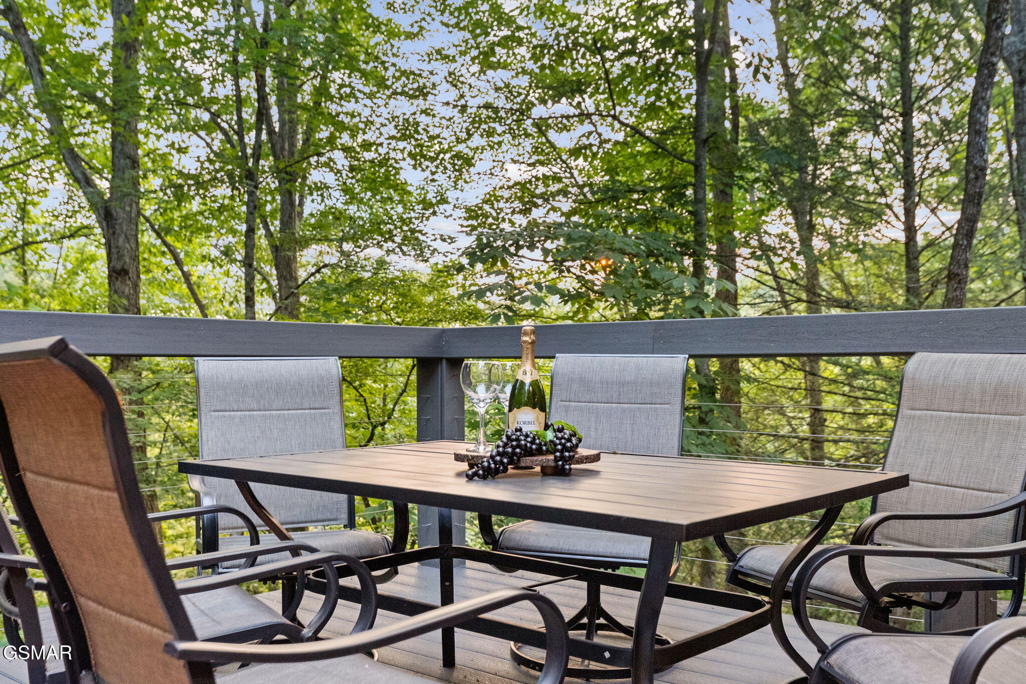 1421 Silver Poplar Lane Lane