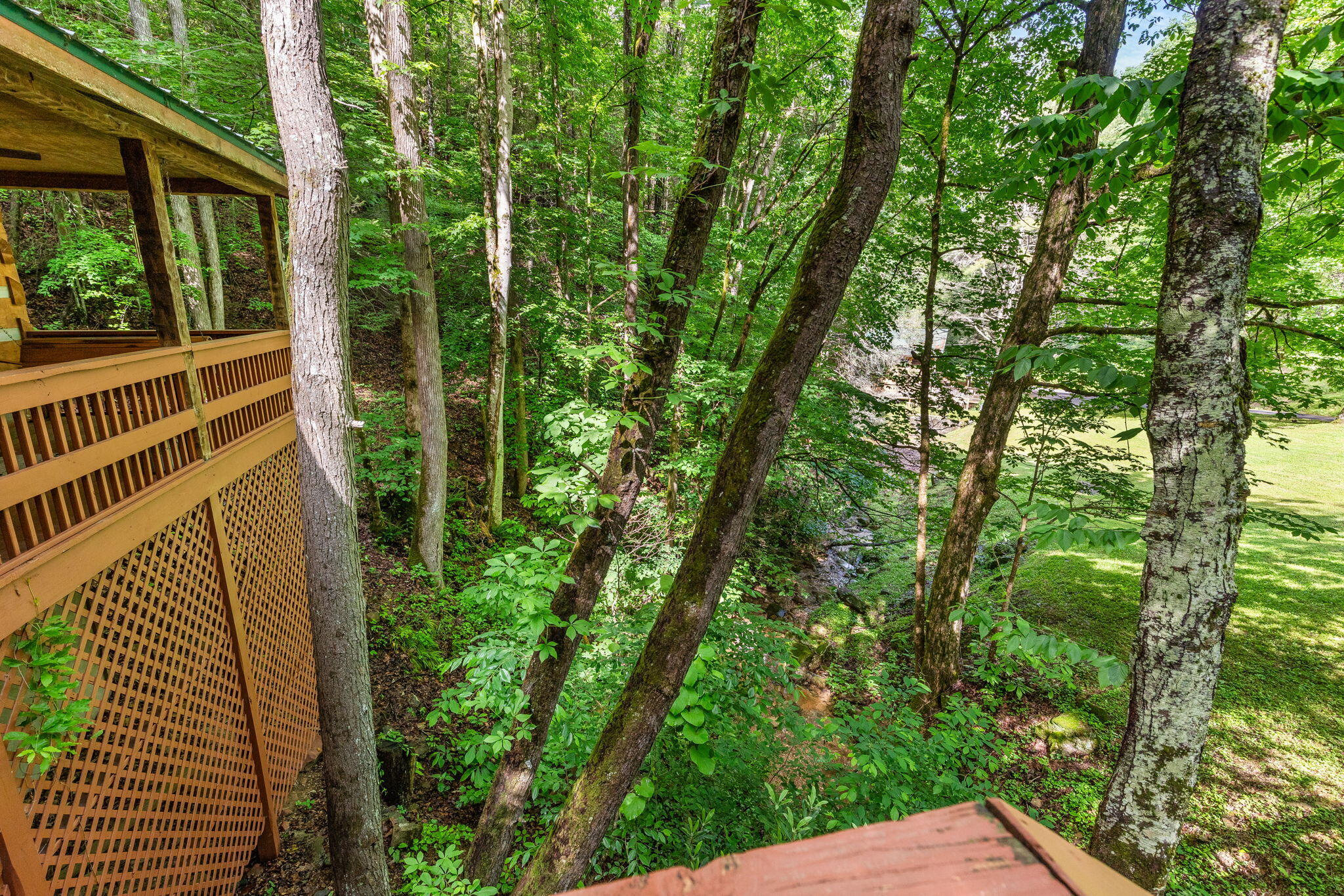 2653 Black Walnut Flats Road Road