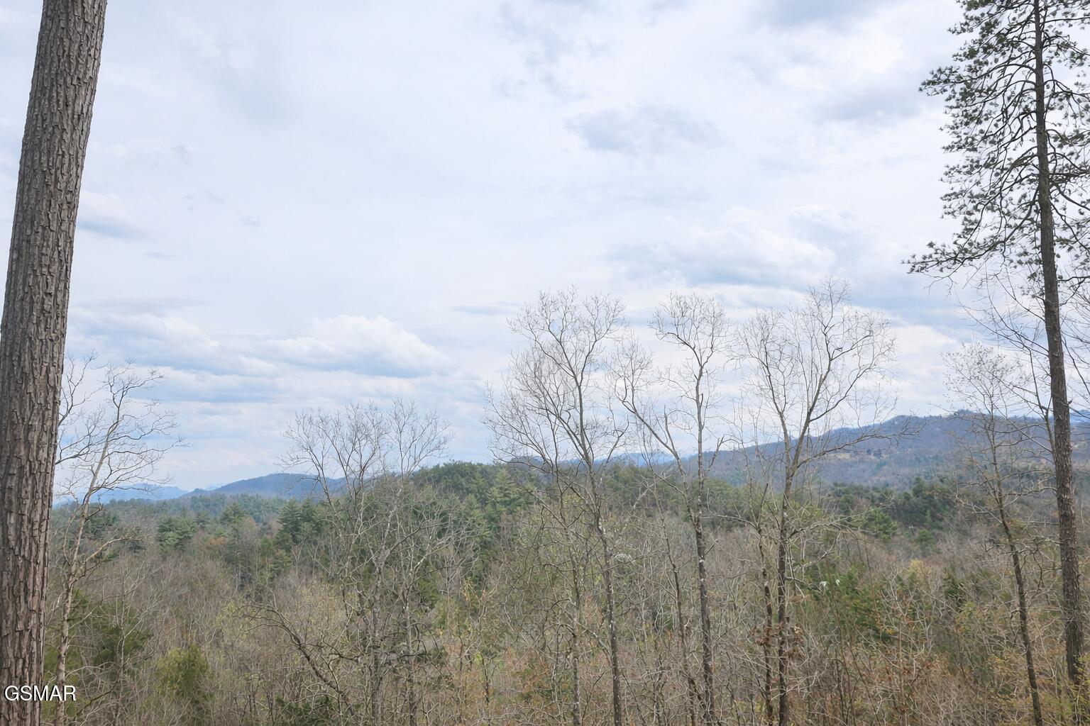 Tr1-B Sulpher Springs Way