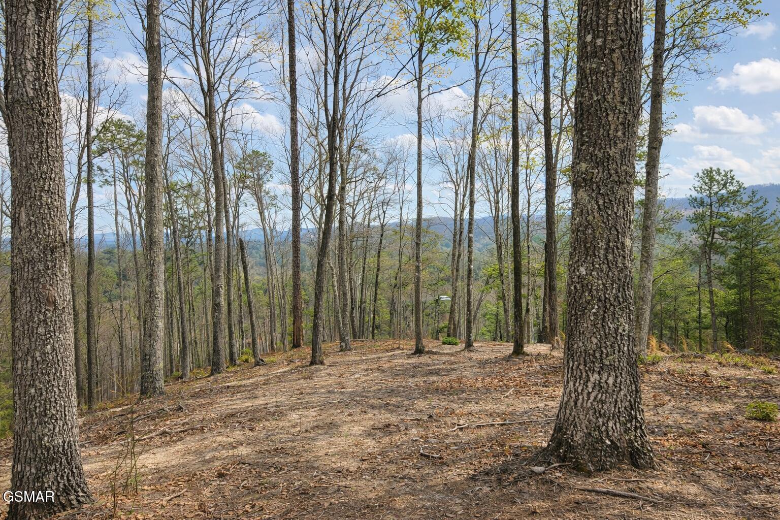 Tr1-B Sulpher Springs Way