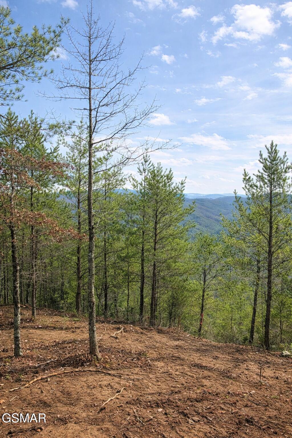 Tr1-B Sulpher Springs Way