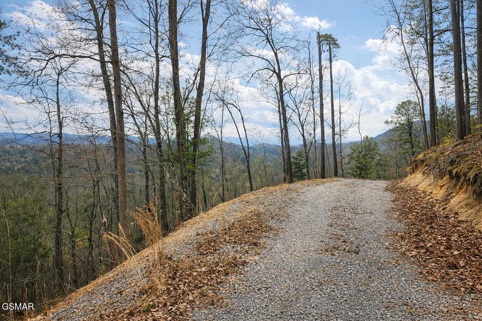 Tr1-B Sulpher Springs Way