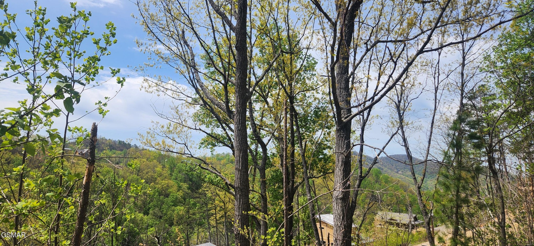 1516 Headrick Lead