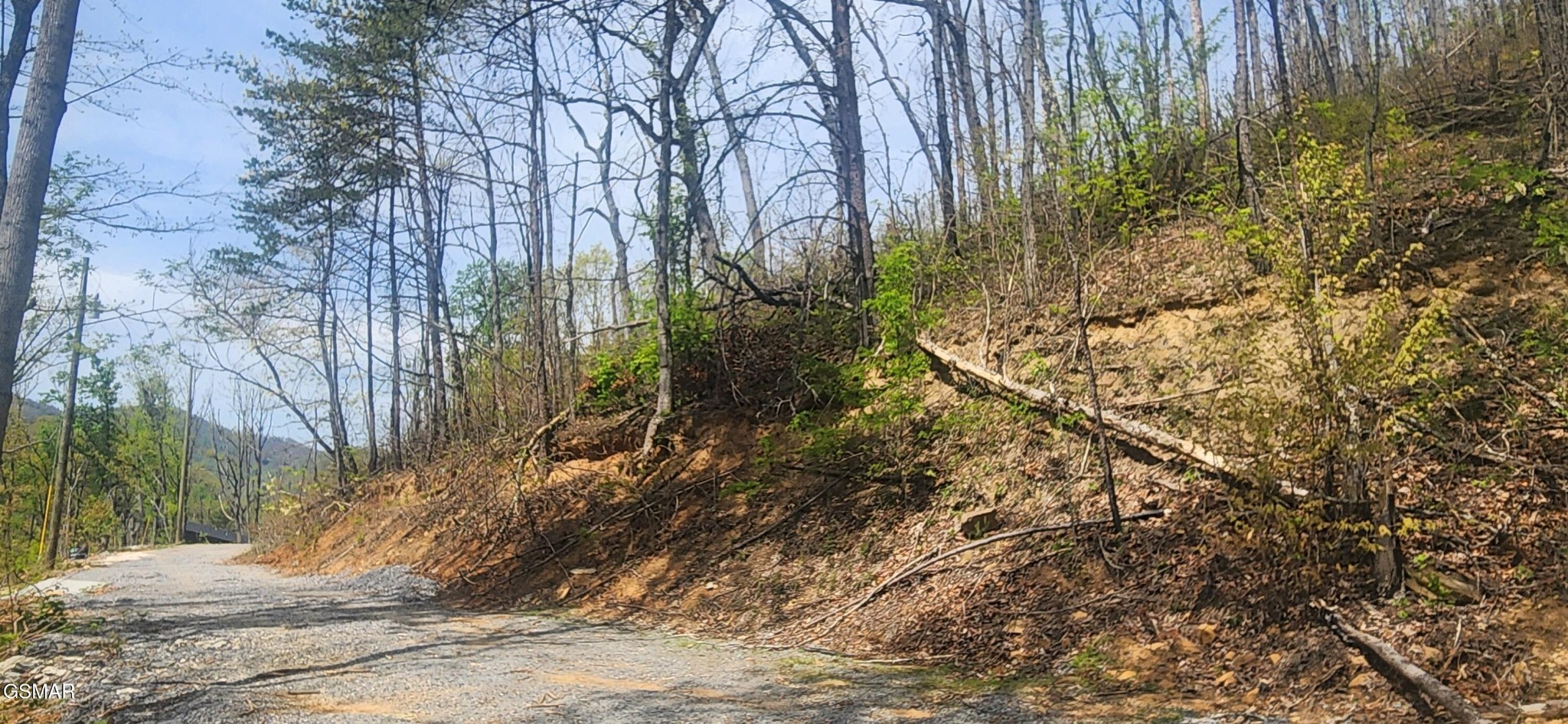 1516 Headrick Lead