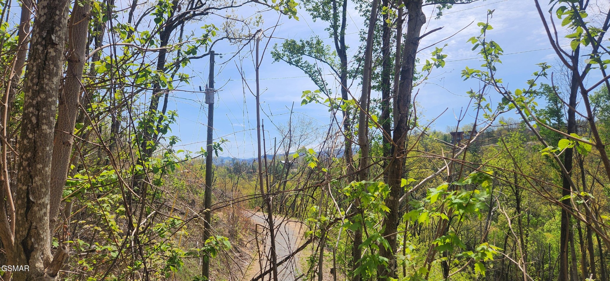 1516 Headrick Lead