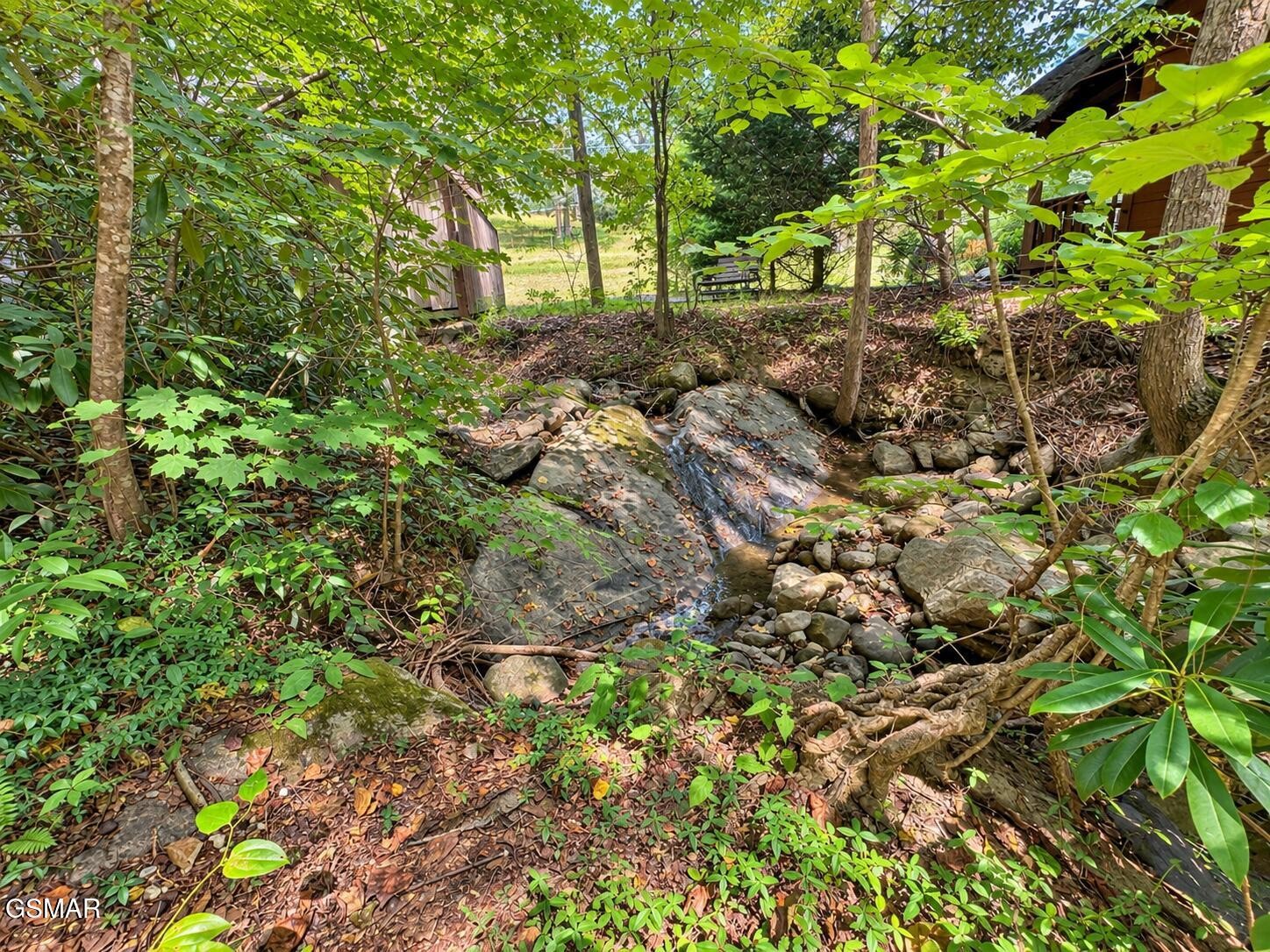 Rocky creek winding through a wooded yard beside a cabin.